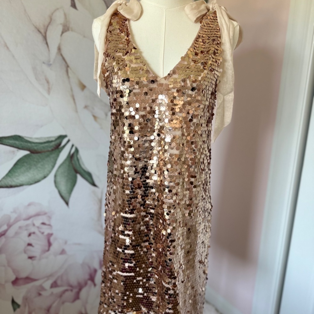 Red Dress Boutique Champagne Sequin Mini Women's Dress Size XS - Picture 6 of 15
